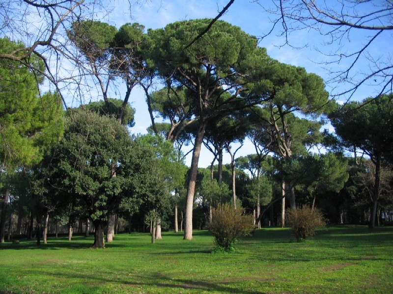 Roma - Villa Borghese