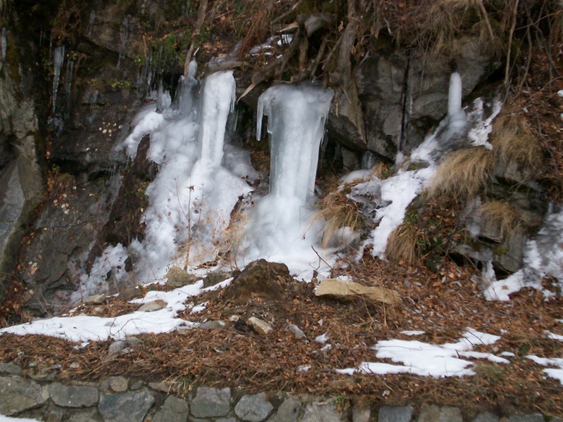 ma quando torna la primavera ed un po'' di caldo