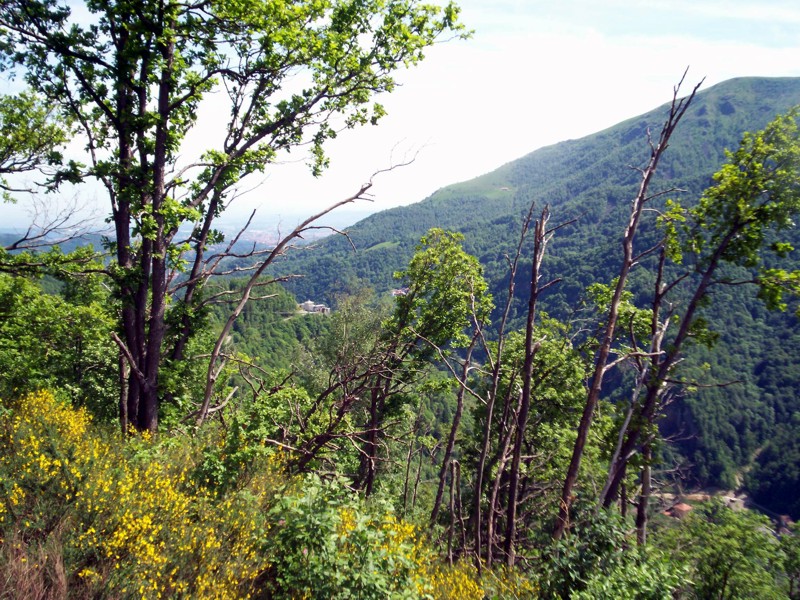 Panorami della Valle del Cervo - Biella