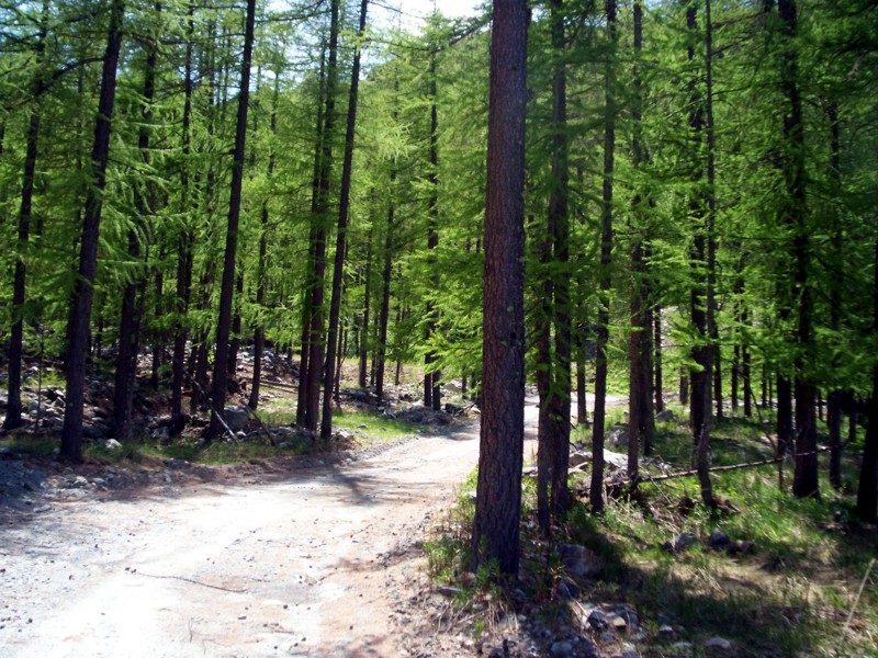 Val di Rhemes - Rhemes Notre Dames