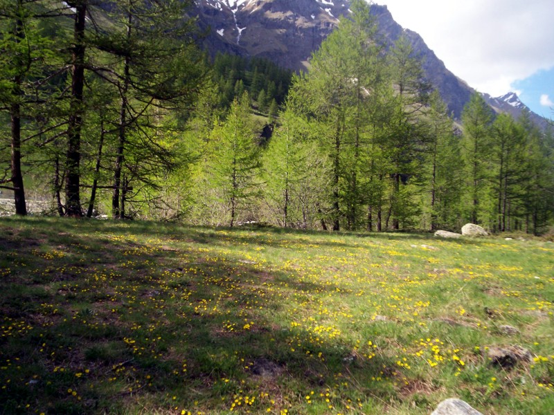 Val di Rhemes - Rhemes Notre Dames