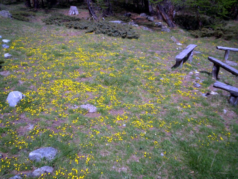 Val di Rhemes - Rhemes Notre Dames