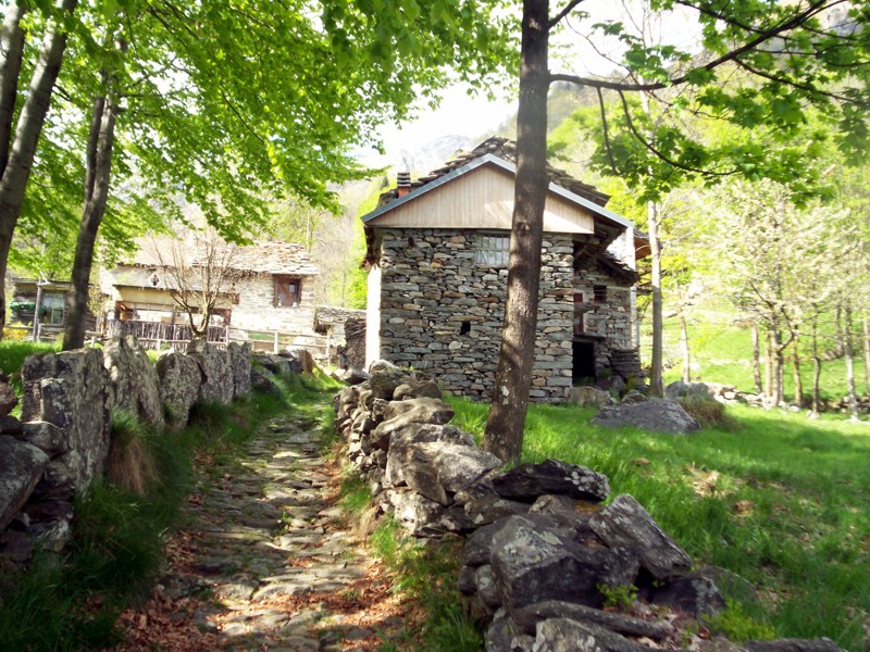 Colle della Mologna Piccola