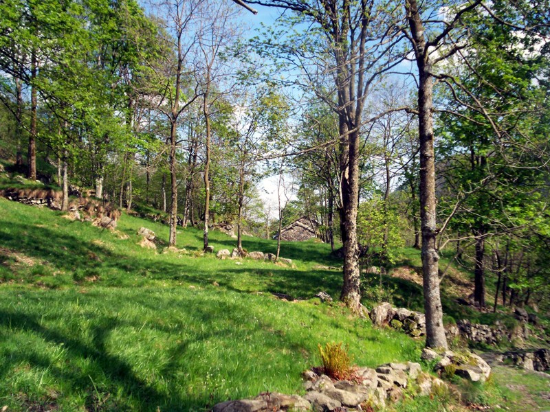 Colle della Mologna Piccola