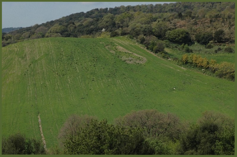 Nei boschi di Sasso: Monte Tosto (Sito BioItaly IT6003006)