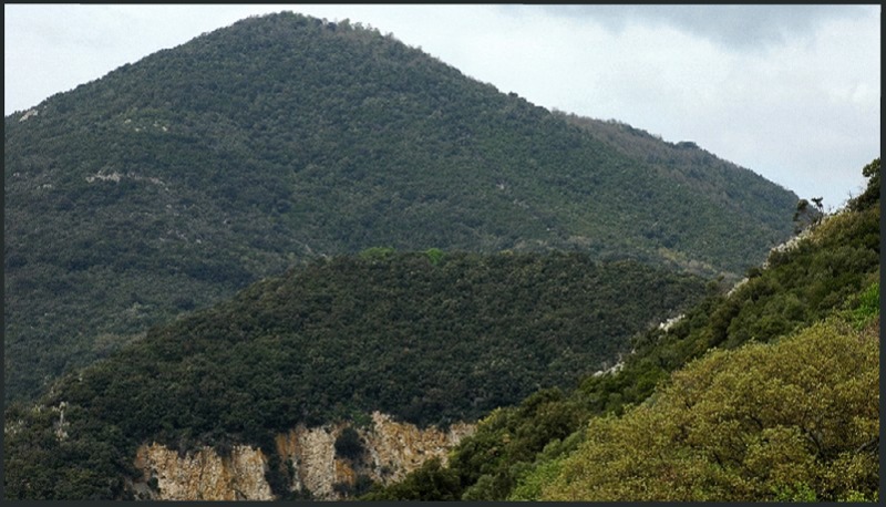 Nei boschi di Sasso: Monte Tosto (Sito BioItaly IT6003006)