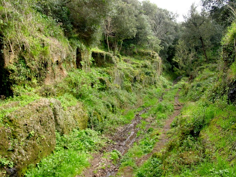 Nei pressi della necropoli di Cerveteri