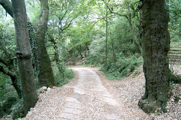 monte soratte e il sentiero degli eremi
