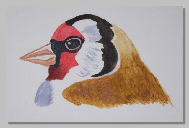 corso di disegno naturalistico 5 lezione