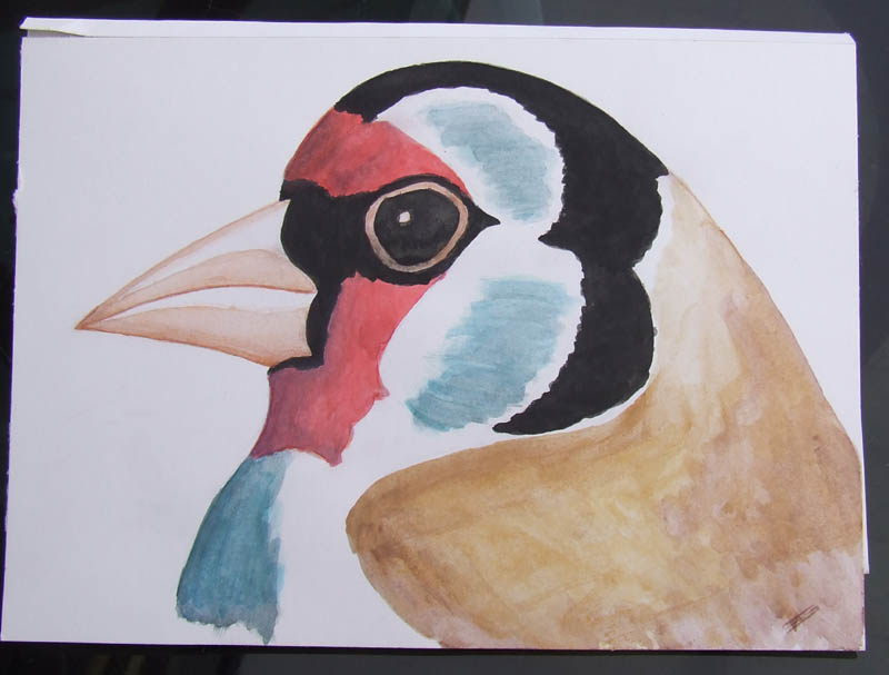 corso di disegno naturalistico 5 lezione