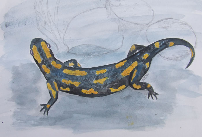 Mi � venuta la dipingite!