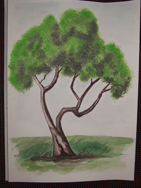 corso di disegno naturalistico 7 lezione