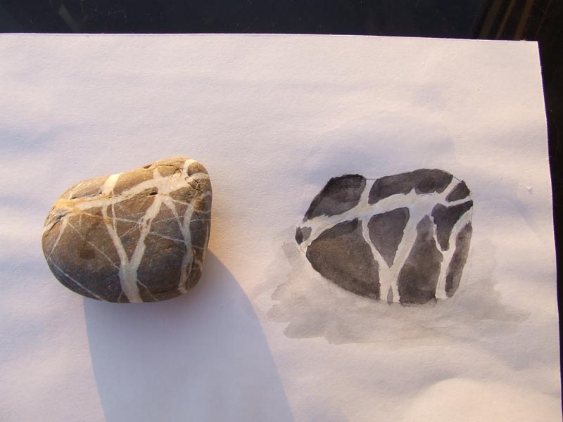 Disegno naturalistico 2Lezione