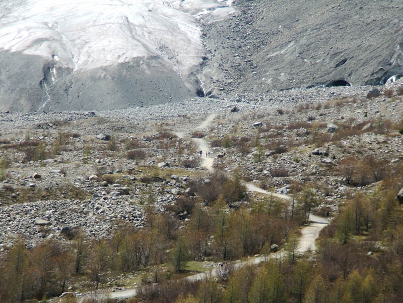 Il ghiacciaio del Morteratsch - Piz Bernina