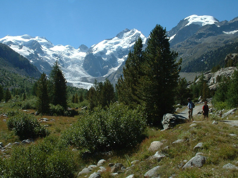 Il ghiacciaio del Morteratsch - Piz Bernina