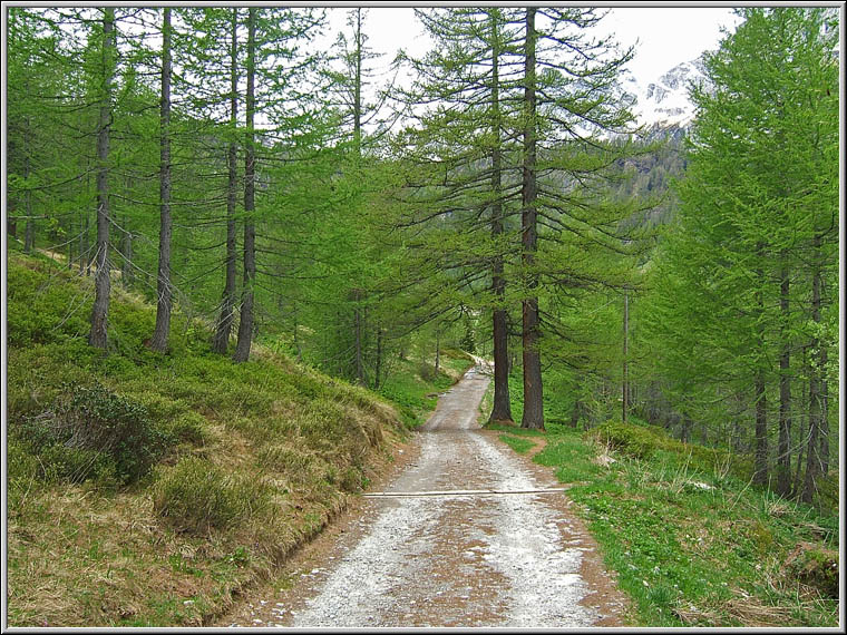 Alpe Devero