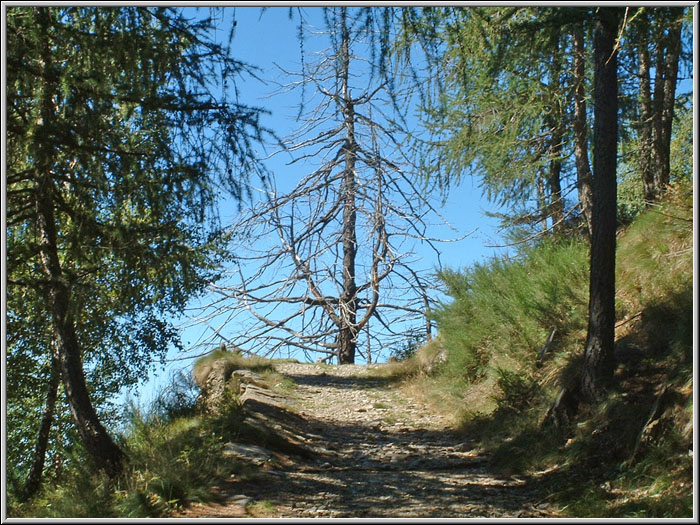 Monte Legnoncino