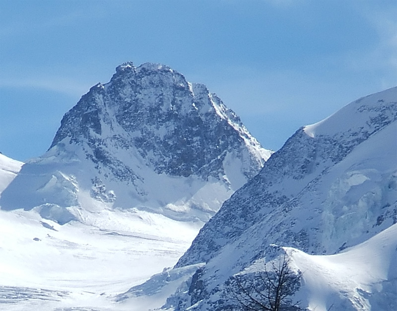 Il ghiacciaio del Morteratsch - Piz Bernina