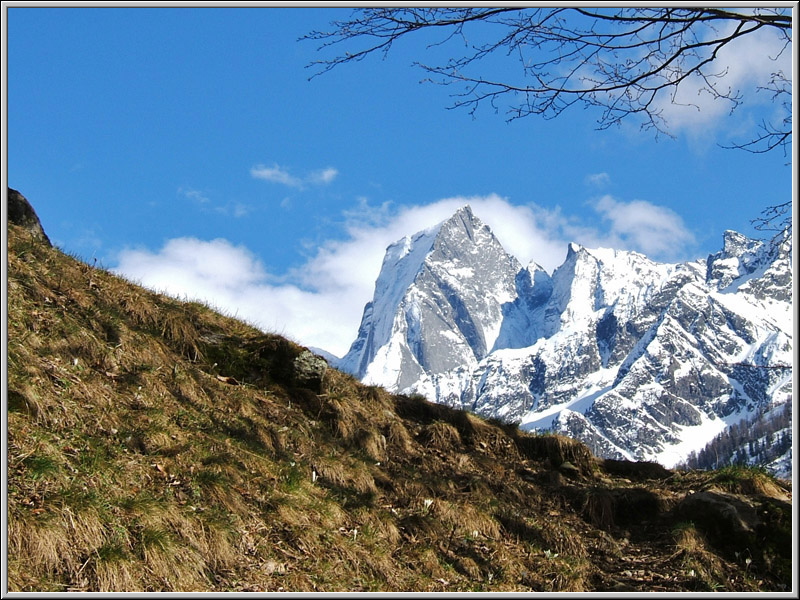 Pizzo Badile