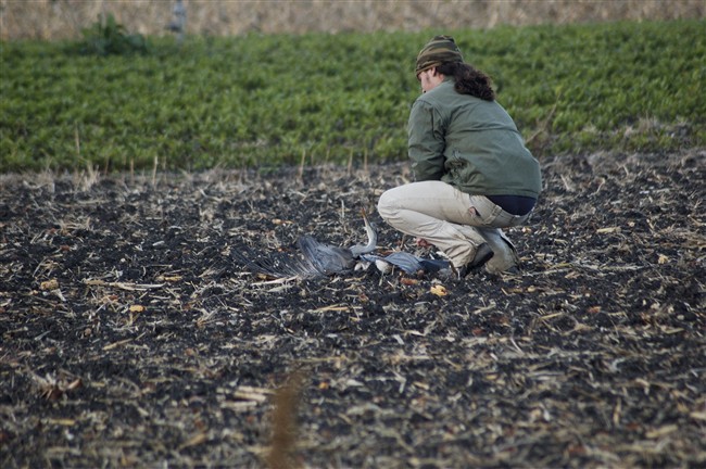 Doveva essere una giornata normale...