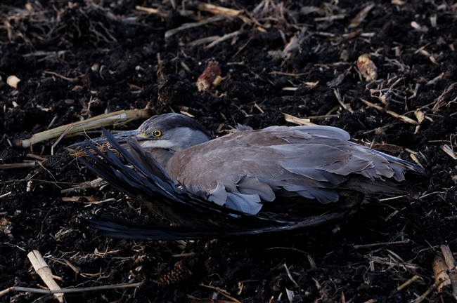 Doveva essere una giornata normale...