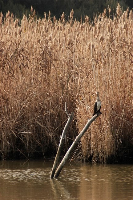 Doveva essere una giornata normale...