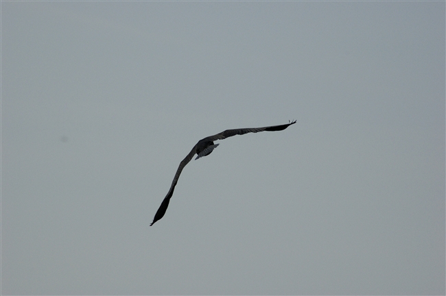 Doveva essere una giornata normale...