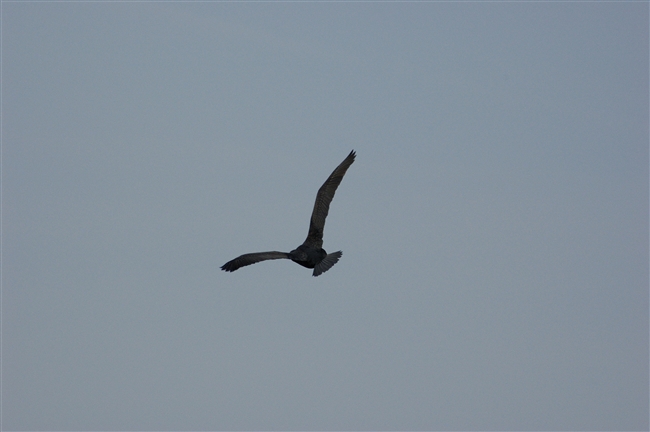 Doveva essere una giornata normale...