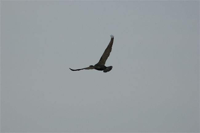 Doveva essere una giornata normale...