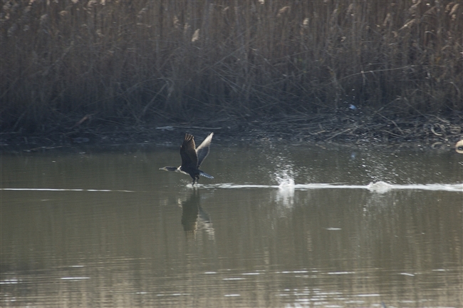 Doveva essere una giornata normale...