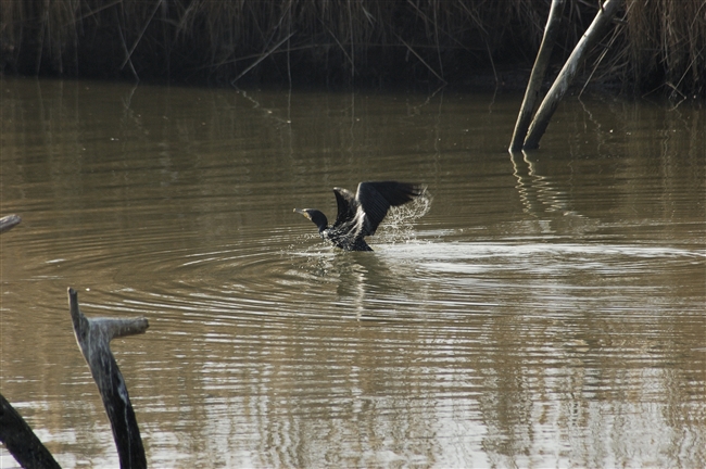 Doveva essere una giornata normale...