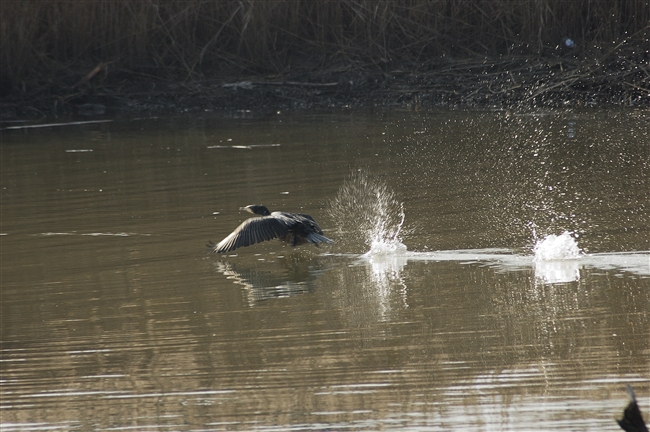 Doveva essere una giornata normale...