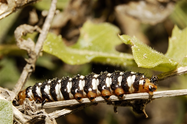 Doveva essere una giornata normale...
