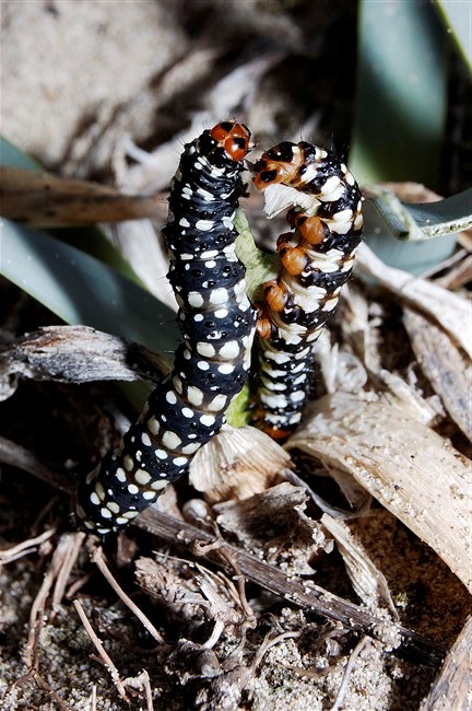 Doveva essere una giornata normale...