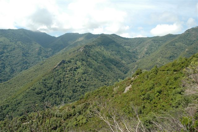 village de Fiuminale - Corsica