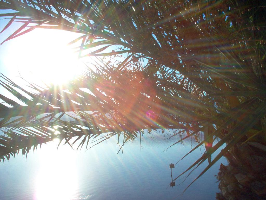 Sera di settembre alla laguna di Nora