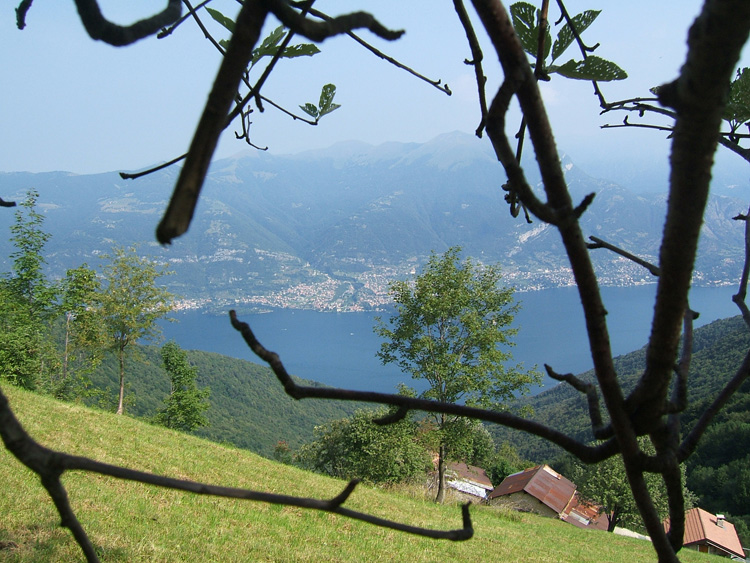 Il Triangolo Lariano