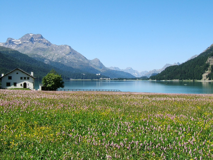 Laghi dell''Engadina e variazioni stagionali