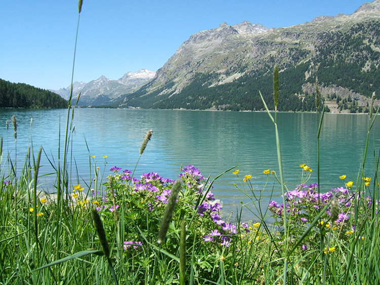 Laghi dell''Engadina e variazioni stagionali