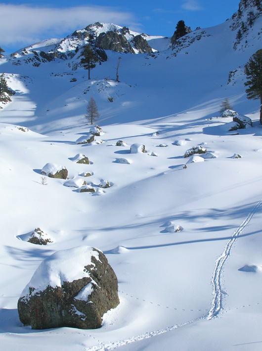Cercando la neve.