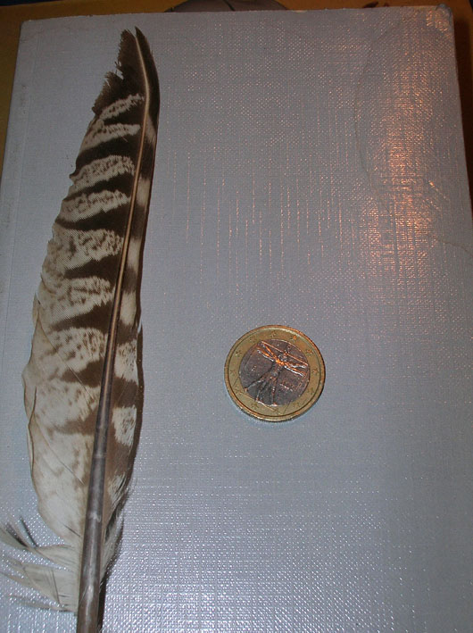 Penne, Fagiano Poiana