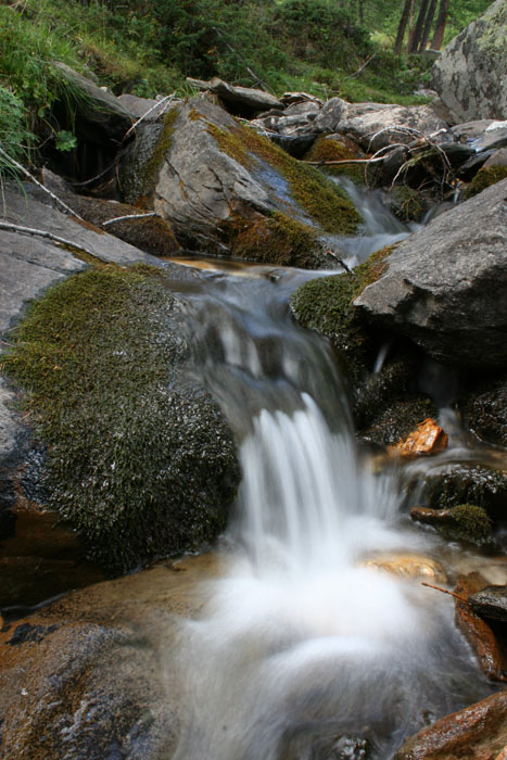 Canon EOS 350d, prime foto