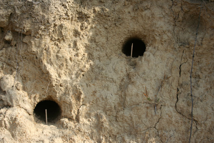 Mistero al parco della Vauda