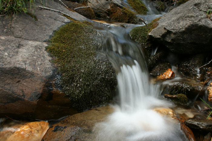 Canon EOS 350d, prime foto