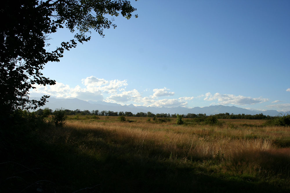 Canon EOS 350d, prime foto
