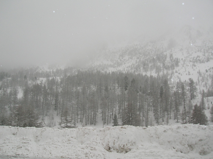 Cercando la neve.