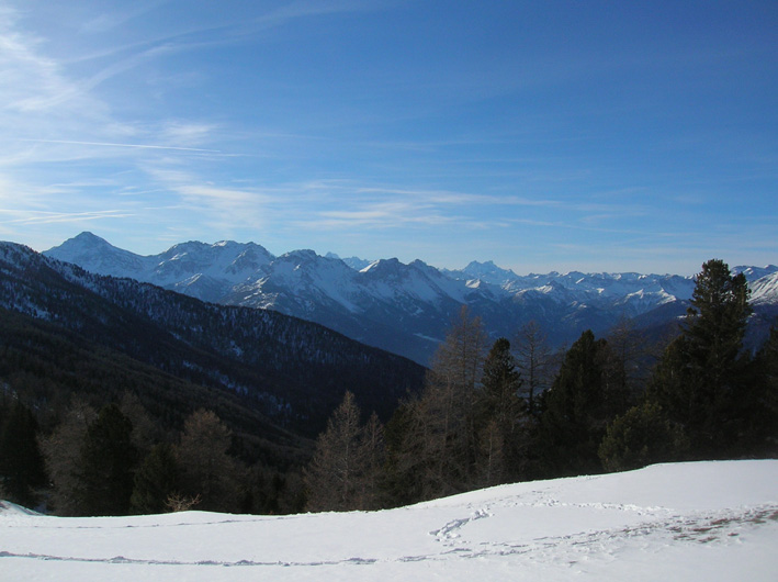 Cercando la neve.