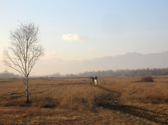 Mistero al parco della Vauda