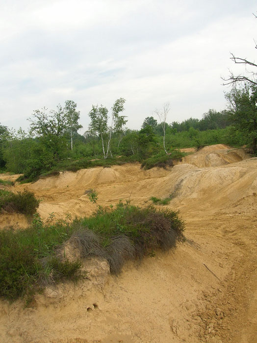 Mistero al parco della Vauda