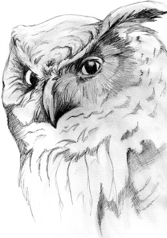 Mi � venuta la dipingite!